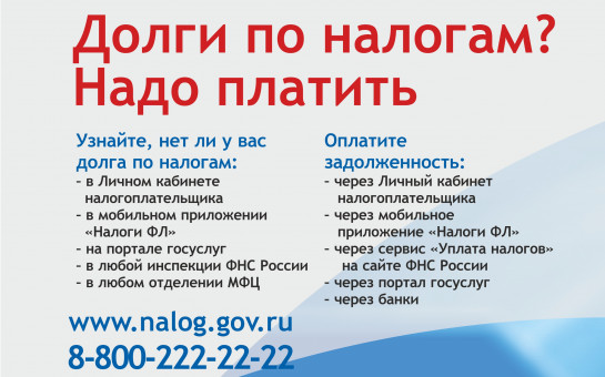 Новосибирцам рекомендуют проверить свою задолженность по налогам
