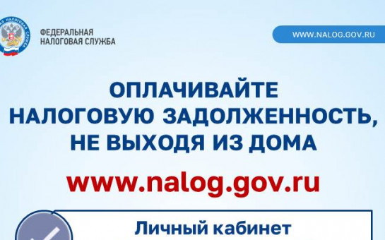 Как узнать о наличии налоговой задолженности и погасить ее