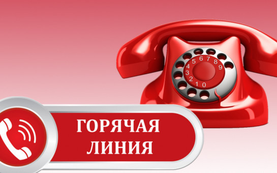 Информация о проведении «горячей телефонной линии»