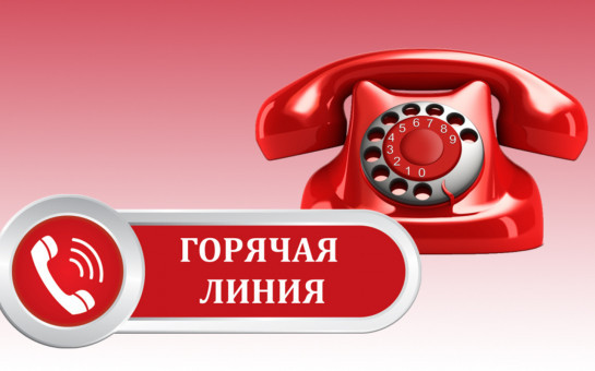 Информация о проведении «горячей телефонной линии»
